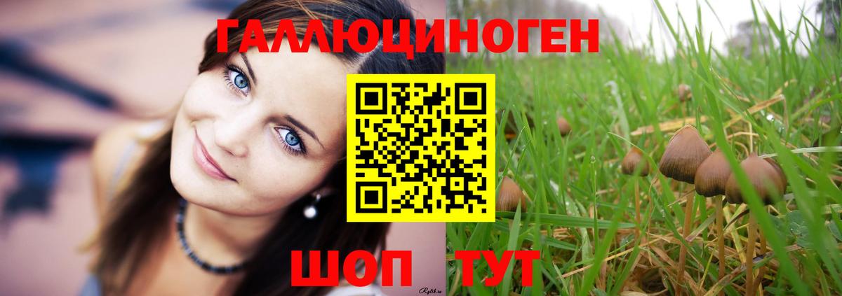 Псилоцибиновые грибы прущие грибы Елец